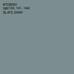 #7C8D90 - Slate Gray Color Image